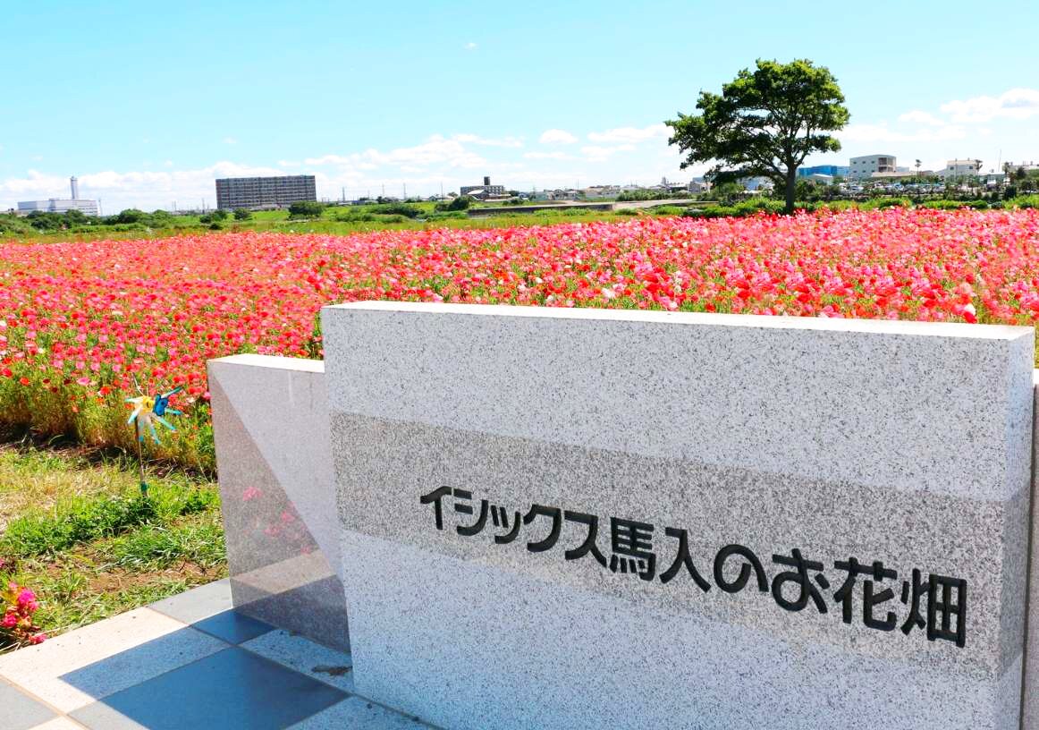石碑とポピー畑